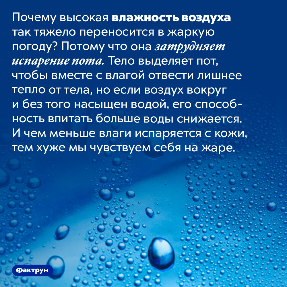 Жара и влажность воздуха. Высокая влажность воздуха. Высокая влажность воздуха переносится тяжелее. Влажность воздуха картинки. Интересные факты о влажности.