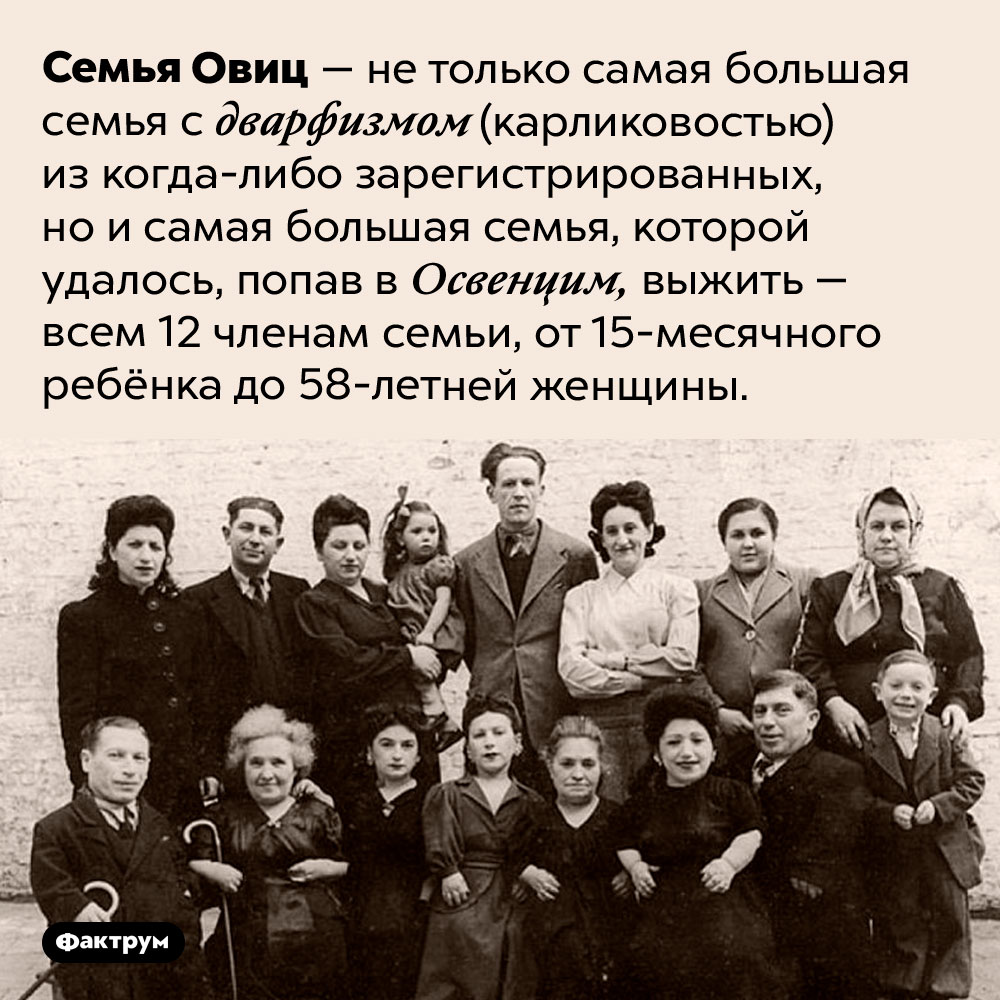 Семья Овиц — самая большая семья с карликовостью и самая большая семья, выжившая в Освенциме. Семья Овиц — не только самая большая семья карликов из когда-либо зарегистрированных, но и самая большая семья, которой удалось, попав в Освенцим, выжить — всем 12 членам семьи, от 15-месячного ребёнка до 58-летней женщины.