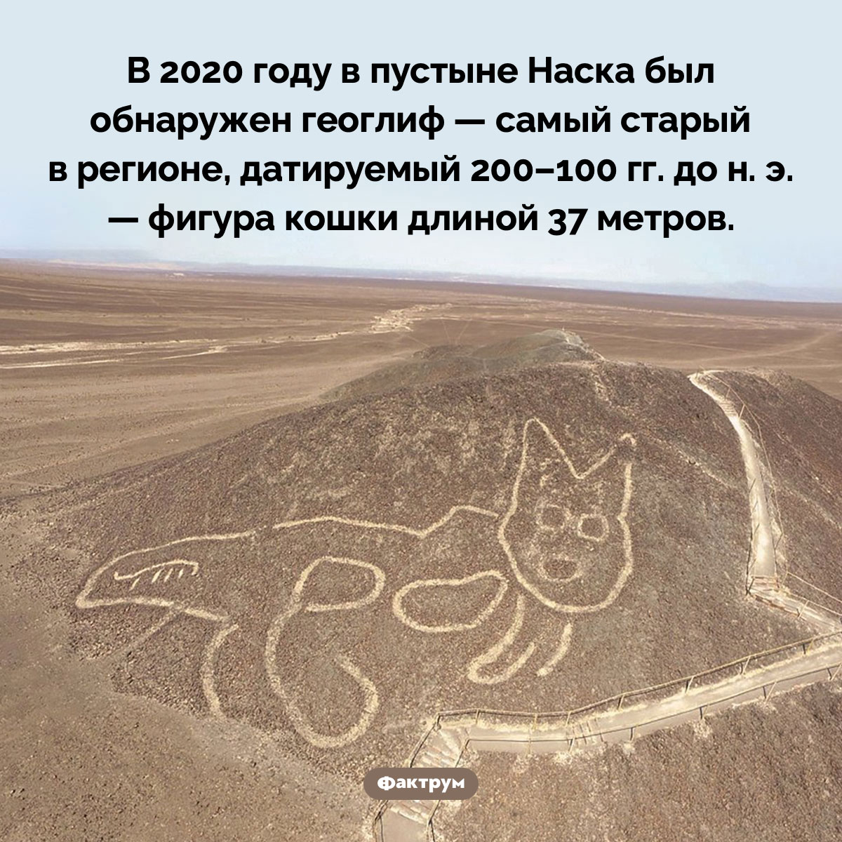 Доисторический геоглиф в виде кошки. В 2020 году в пустыне Наска был обнаружен геоглиф — самый старый в регионе, датируемый 200–100  гг. до н. э. — фигура кошки длиной 37 метров.