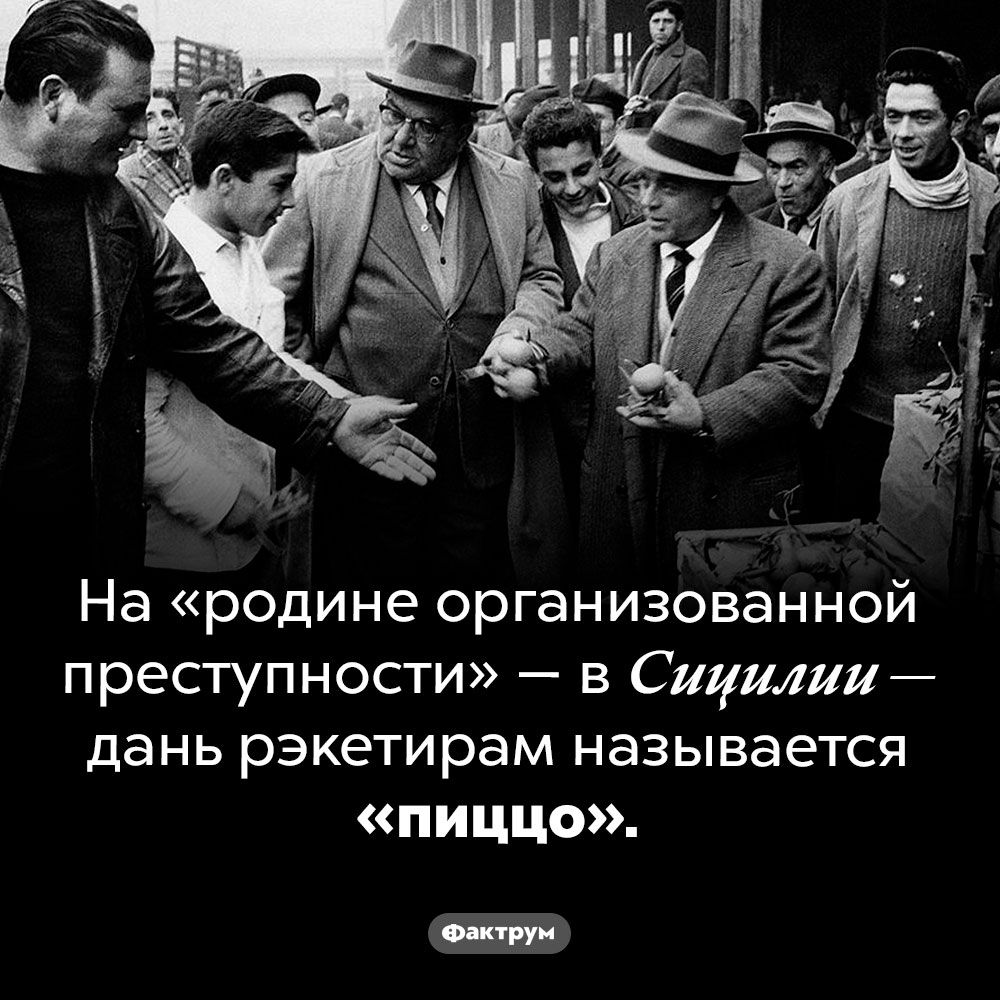 Что сицилийская мафия называет «пиццо». На «родине организованной преступности» — в Сицилии — дань рэкетирам называется «пицца».
