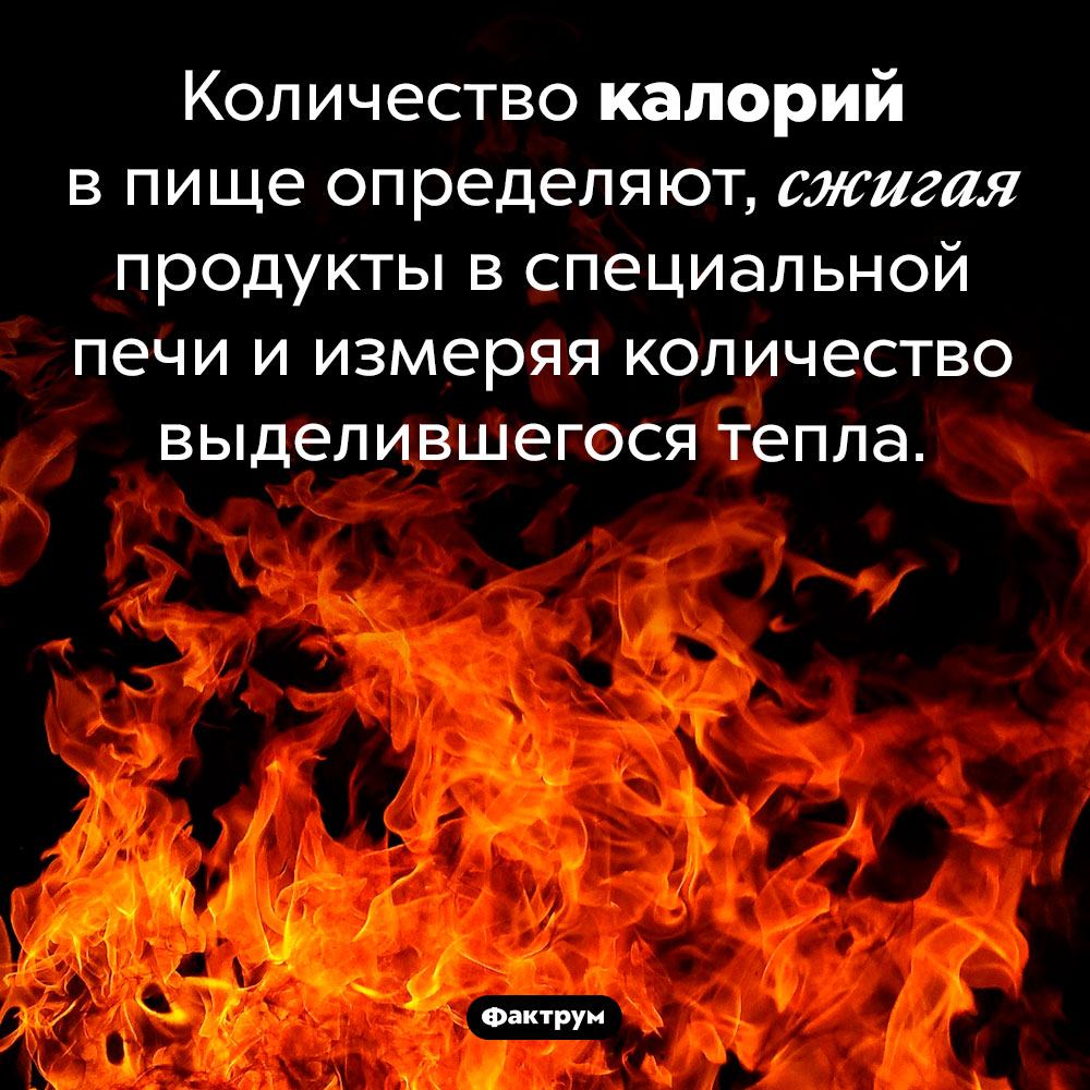 Как определяют, сколько в еде калорий. Количество калорий в пище определяют, сжигая продукты в специальной печи и измеряя количество выделившегося тепла.