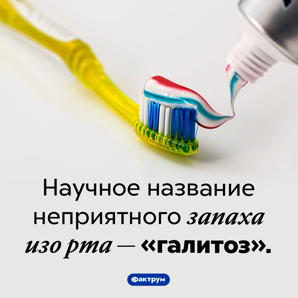 Как называется неприятный запах изо рта. Научное название неприятного запаха изо рта — «галитоз».