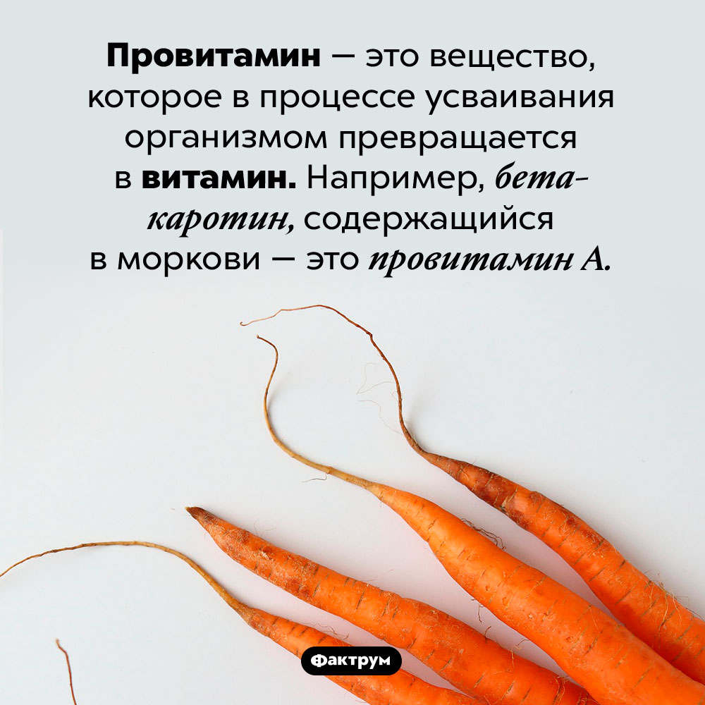 Что такое «провитамины». Провитамин — это вещество, которое в процессе усваивания организмом превращается в витамин. Например, бета-каротин, содержащийся в моркови — это провитамин A.