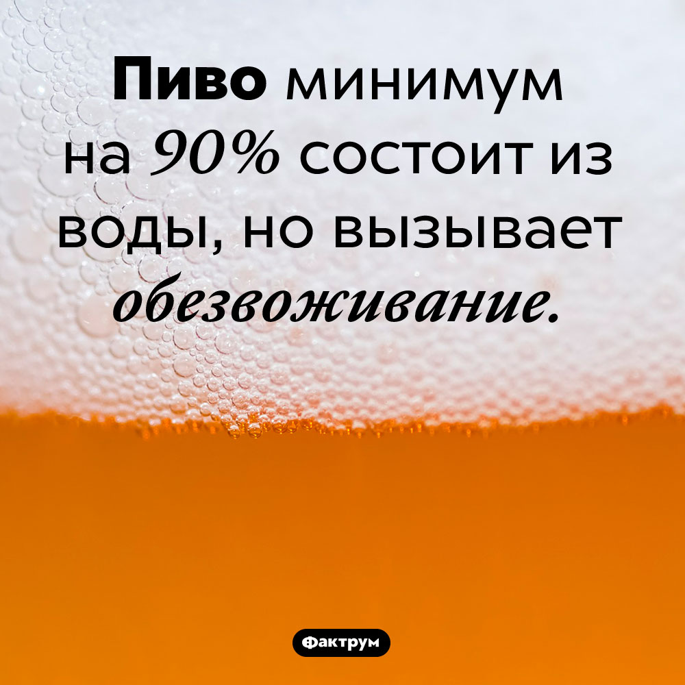 Пиво минимум на 90% состоит из воды, но вызывает обезвоживание.