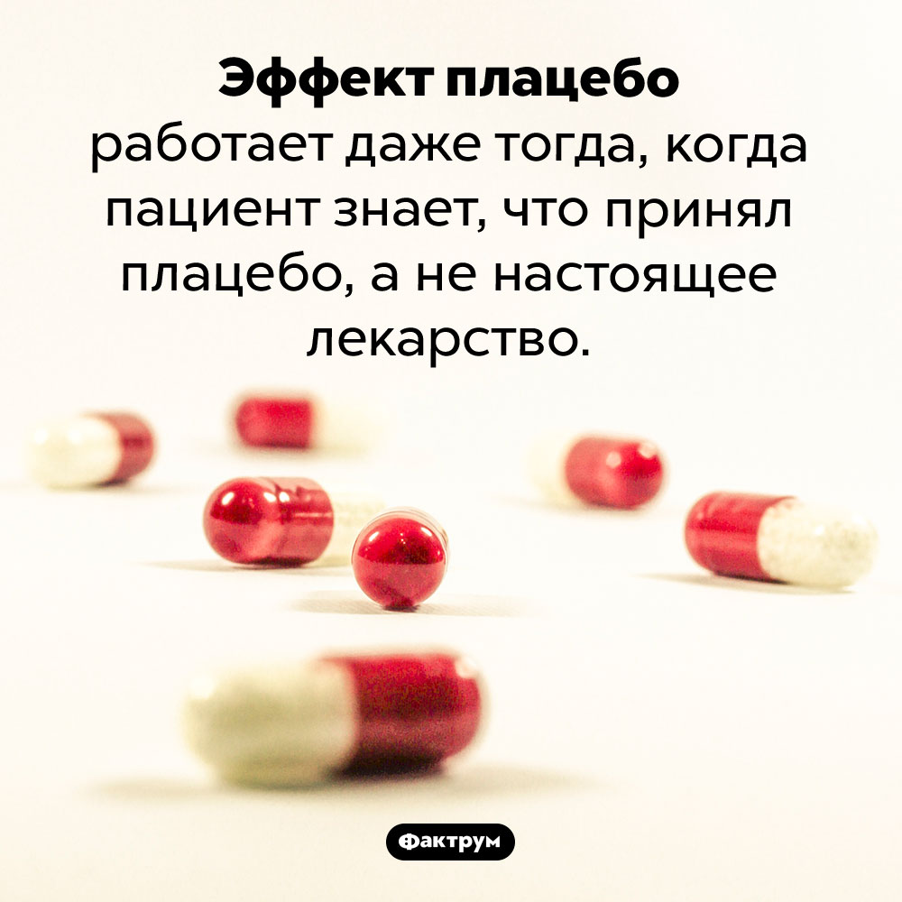 Эффект плацебо всегда работает. Эффект плацебо работает даже тогда, когда пациент знает, что принял плацебо, а не настоящее лекарство.