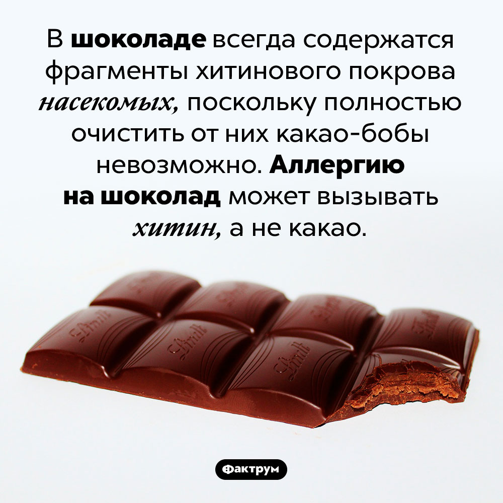 Насекомые в шоколаде. В шоколаде всегда содержатся фрагменты хитинового покрова насекомых, поскольку полностью очистить от них какао-бобы невозможно. Аллергию на шоколад может вызывать хитин, а не какао.