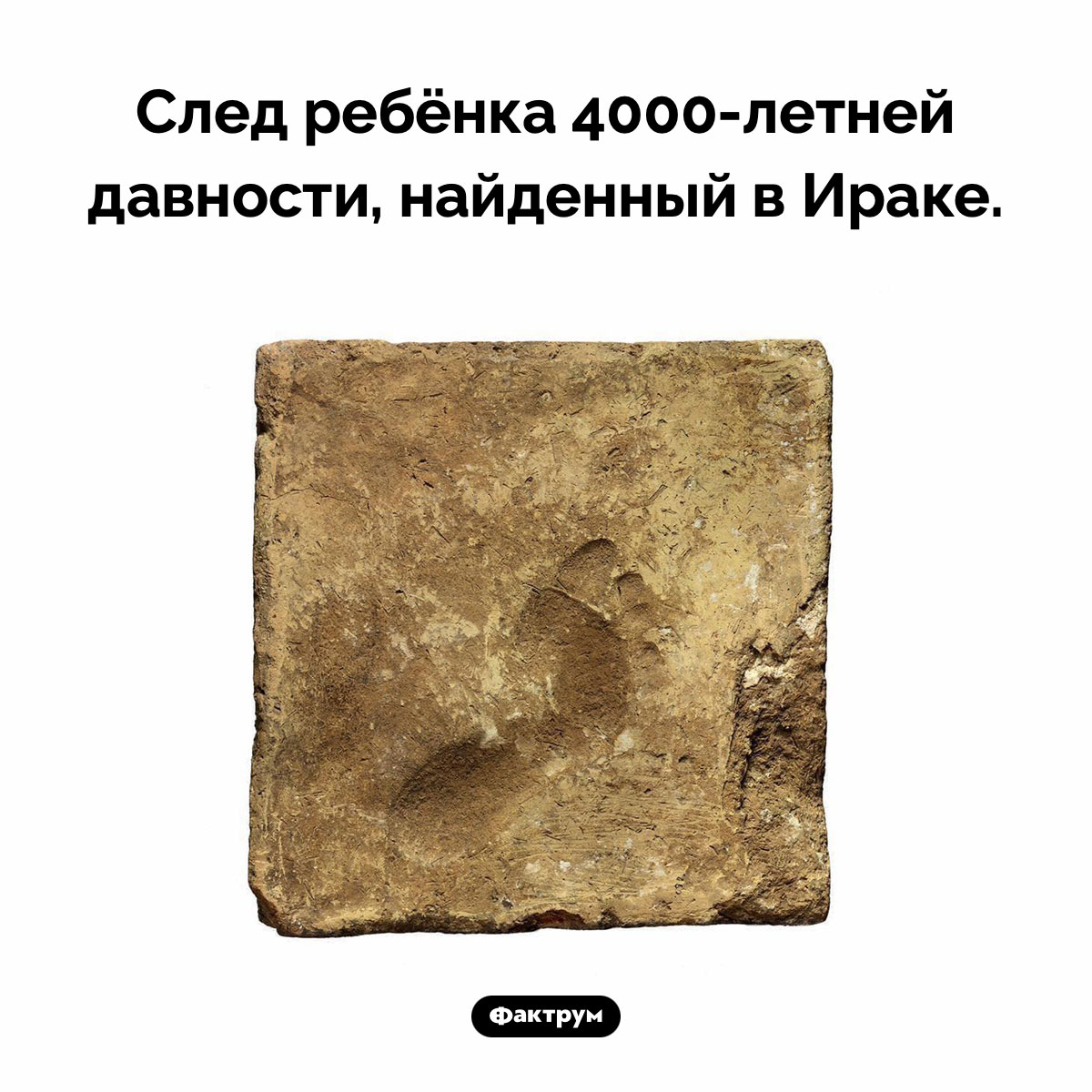4000-летний след ребёнка