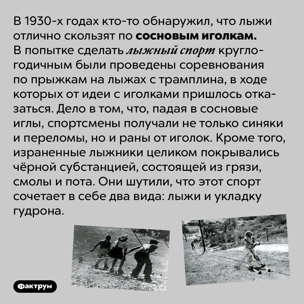Сосновые лыжи. В 1930-х годах кто-то обнаружил, что лыжи отлично скользят по сосновым иголкам. В попытке сделать лыжный спорт круглогодичным были проведены соревнования по прыжкам на лыжах с трамплина, в ходе которых от идеи с иголками пришлось отказаться. Дело в том, что, падая в сосновые иглы, спортсмены получали не только синяки и переломы, но и раны от иголок. Кроме того, израненные лыжники целиком покрывались чёрной субстанцией, состоящей из грязи, смолы и пота. Они шутили, что этот спорт сочетает в себе два вида: лыжи и укладку гудрона.
