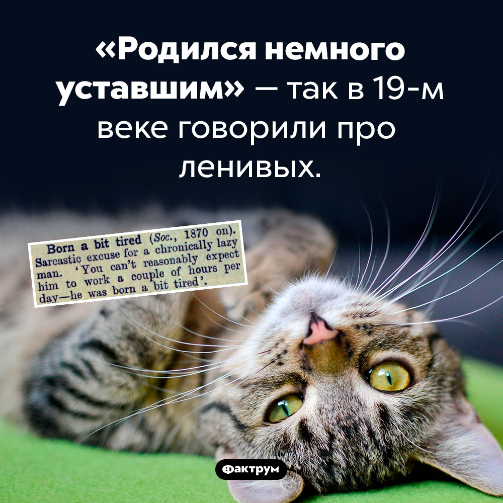 Родился немного уставшим. «Родился немного уставшим» — так в 19-м веке говорили про ленивых людей.