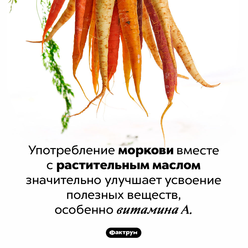 Морковку надо есть с растительным маслом. Употребление моркови вместе с растительным маслом значительно улучшает усвоение полезных веществ, особенно витамина А.