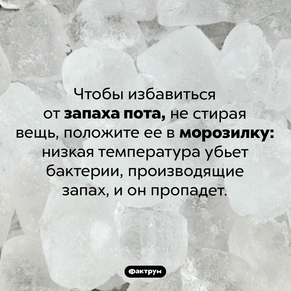 Как убрать запаха пота, не стирая вещь. Чтобы избавиться от запаха пота, не стирая вещь, положите ее в морозилку: низкая температура убьет бактерии, производящие запах, и он пропадет.