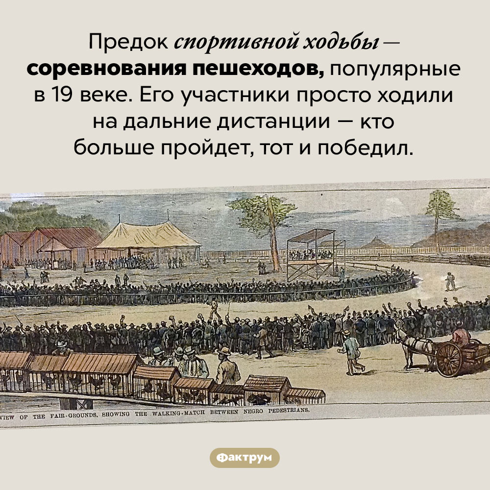 Соревнования пешеходов. Предок спортивной ходьбы — соревнования пешеходов, популярные в 19 веке. Его участники просто ходили на дальние дистанции — кто больше пройдет, тот и победил.