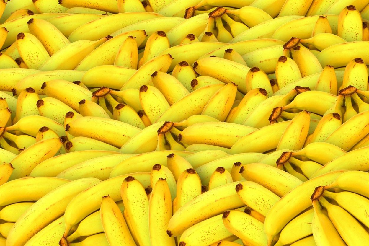 Как бананы выглядели до того, как их начали культивировать? 7 интересных фактов о бананах