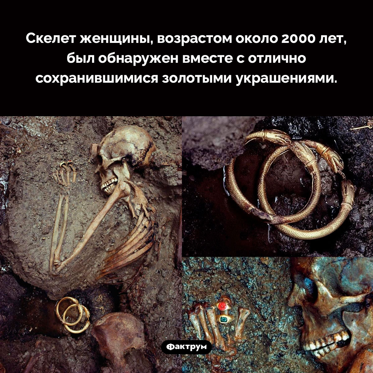 Леди с кольцами. Скелет женщины, возрастом около 2000 лет, был обнаружен вместе с отлично сохранившимися золотыми украшениями.