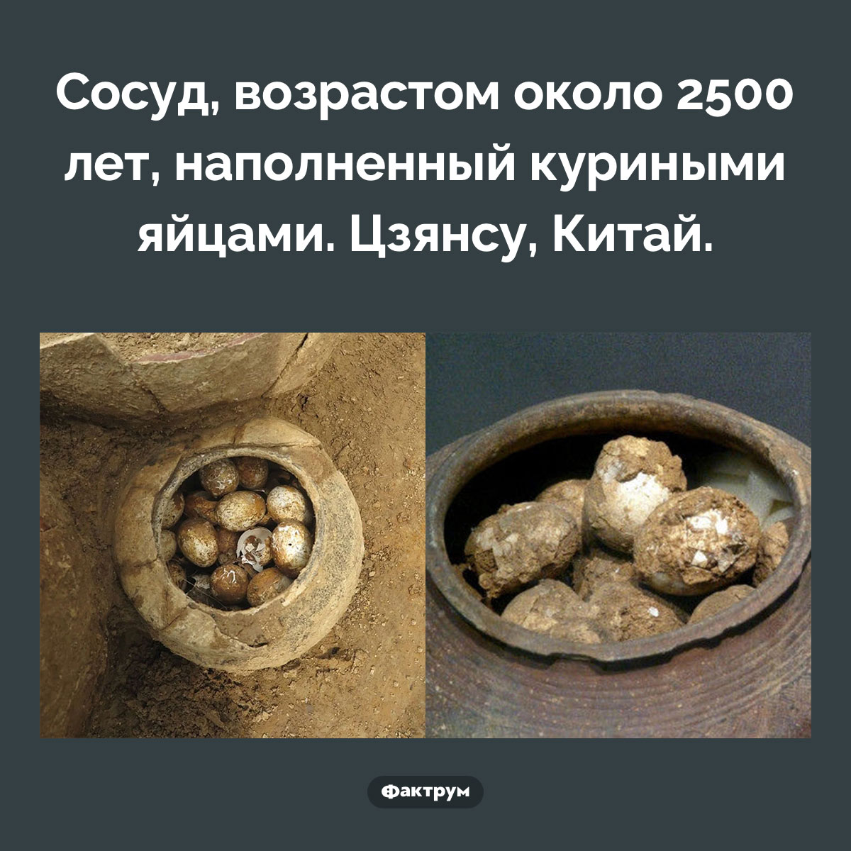Сосуд наполненный яйцами