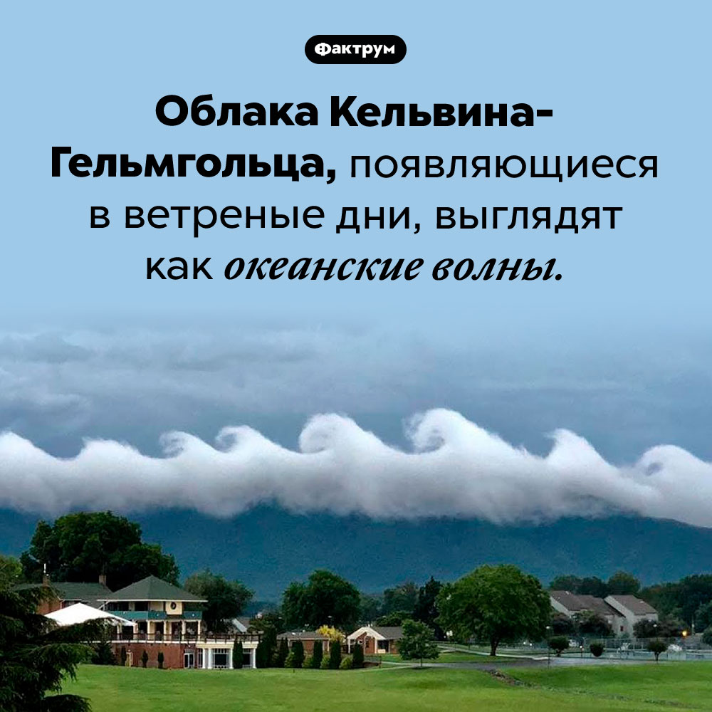 Облака, похожие на волны. Облака Кельвина-Гельмгольца, появляющиеся в ветреные дни, выглядят как океанские волны.