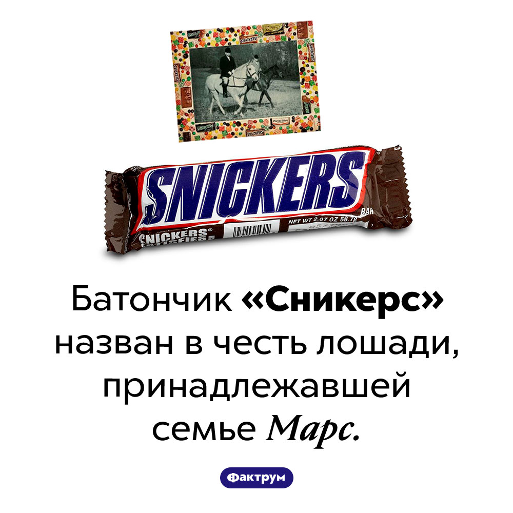 «Сникерс» назвали в честь лошади. Батончик «Сникерс» назван в честь лошади, принадлежавшей семье Марс.