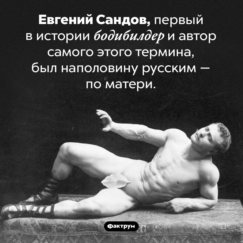 Первый в истории бодибилдер был наполовину русским. Евгений Сандов, первый в истории бодибилдер и автор самого этого термина, был наполовину русским — по матери.