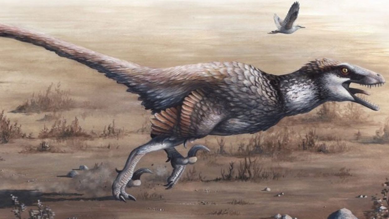 Сколько динозавров живет на Земле в наше время? 10 интересных фактов о динозаврах