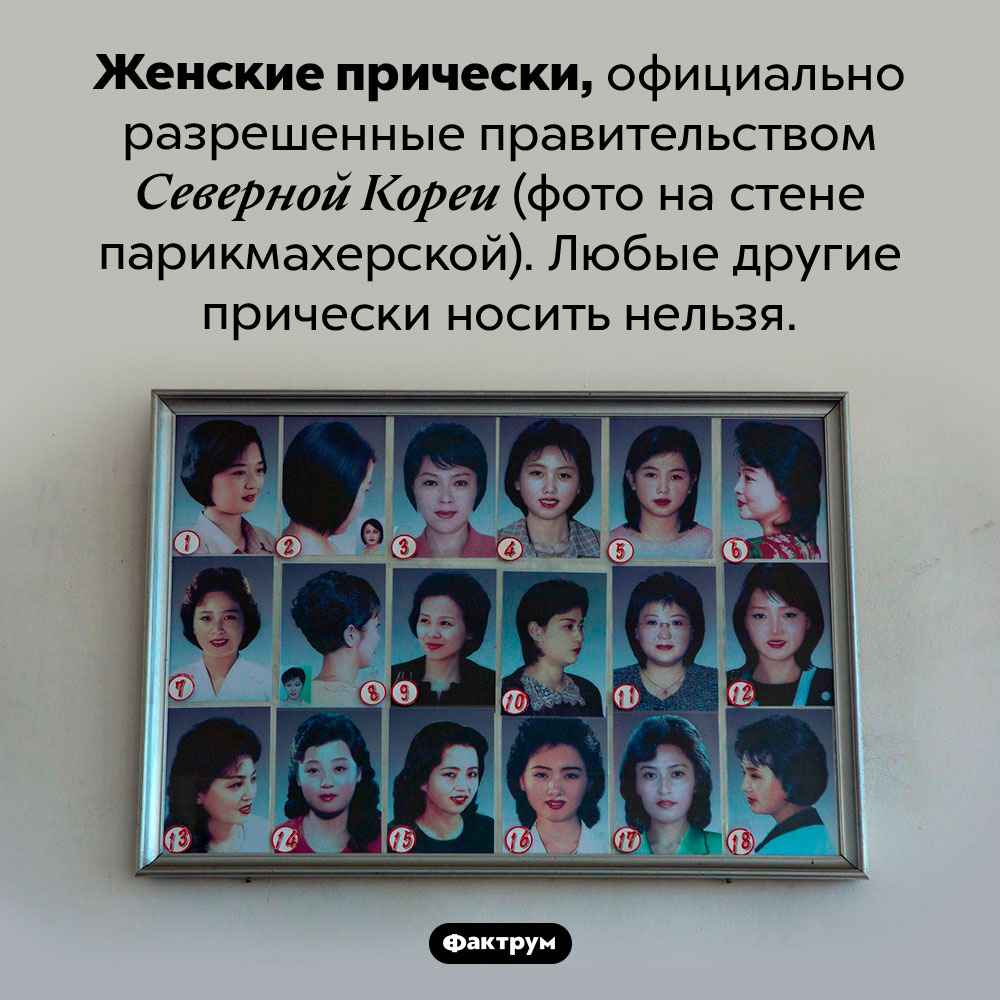 Женские прически Северной Кореи. Женские прически, официально разрешенные правительством Северной Кореи (фото на стене парикмахерской). Любые другие прически носить нельзя.