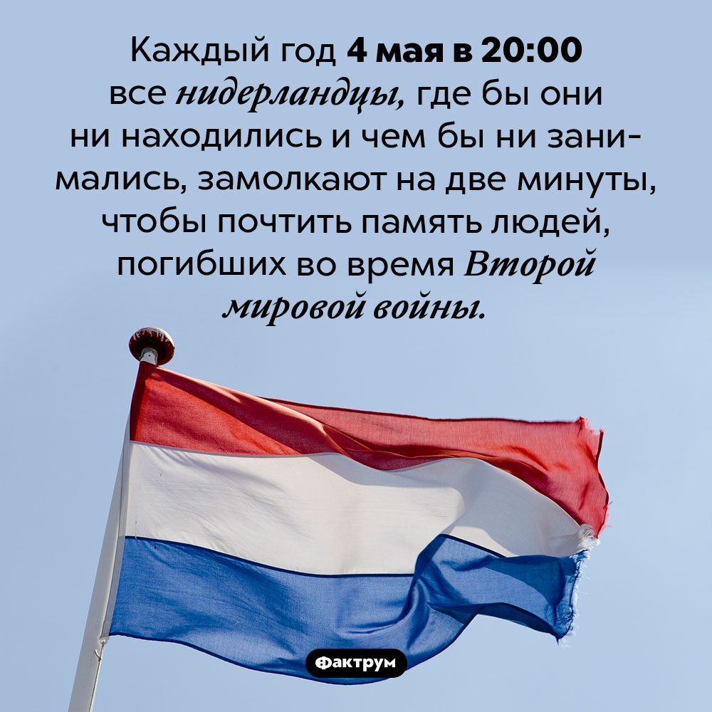 Почему нидерландцы 4 мая в 20:00 замолкают всей страной. Каждый год 4 мая в 20:00 все нидерландцы, где бы они ни находились и чем бы ни занимались, замолкают на две минуты, чтобы почтить память людей, погибших во время Второй мировой войны.