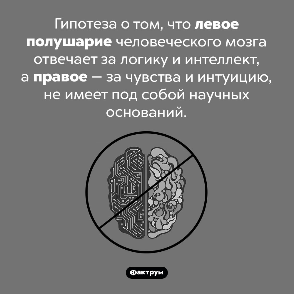 Левое полушарие не отвечает за интеллект, а правое — за чувства. Гипотеза о том, что левое полушарие человеческого мозга отвечает за логику и интеллект, а правое — за чувства и интуицию, не имеет под собой научных оснований.