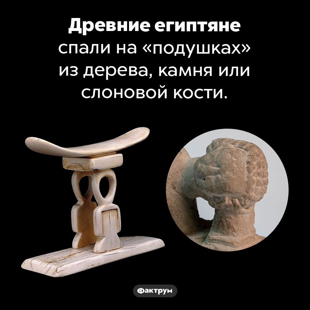 Древнеегипетские «подушки» были не очень мягкими. Древние египтяне спали на «подушках» из дерева, камня или слоновой кости.