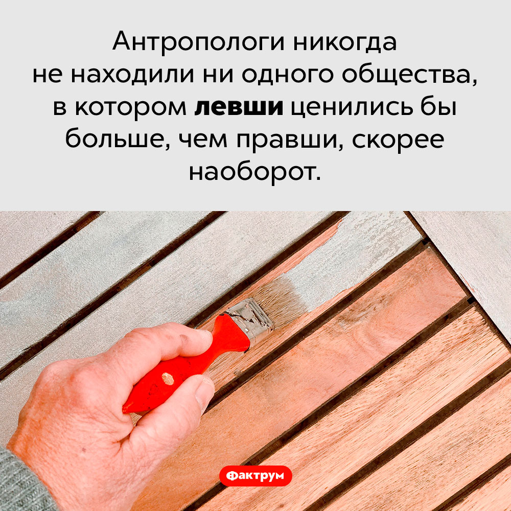 Левшей никто не ценит. Антропологи никогда не находили ни одного общества, в котором левши ценились бы больше, чем правши, скорее наоборот.