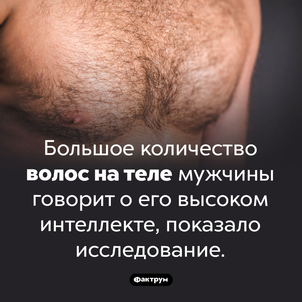 Количество волос на теле коррелируют с высоким интеллектом. Большое количество волос на теле мужчины говорит о его высоком интеллекте, показало исследование.