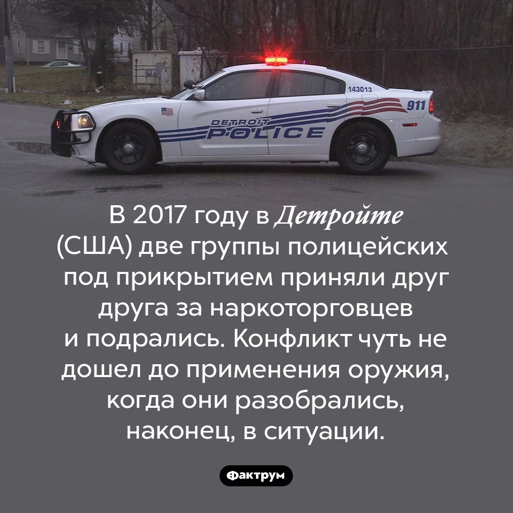 Слишком глубокое прикрытие детройтских полицейских. В 2017 году в Детройте (США) две группы полицейских под прикрытием приняли друг друга за наркоторговцев и подрались. Конфликт чуть не дошел до применения оружия, когда они разобрались, наконец, в ситуации.