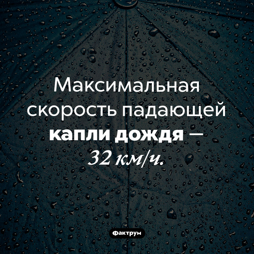 С какой скоростью падает дождь. Максимальная скорость падающей капли дождя — 32 км/ч.