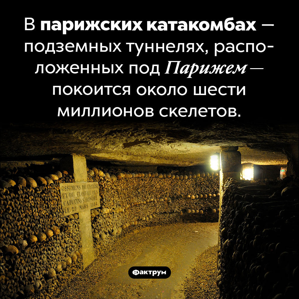 В парижских катакомбах находится 6 млн скелетов. В парижских катакомбах — подземных туннелях, расположенных под Парижем — покоится около шести миллионов скелетов.