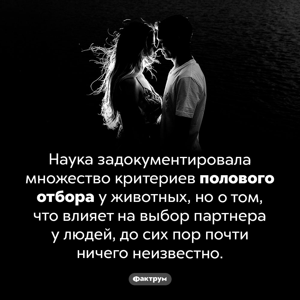 Наука не знает, как люди выбирают половых партнеров. Наука задокументировала множество критериев полового отбора у животных, но о том, что влияет на выбор партнера у людей, до сих пор почти ничего неизвестно.