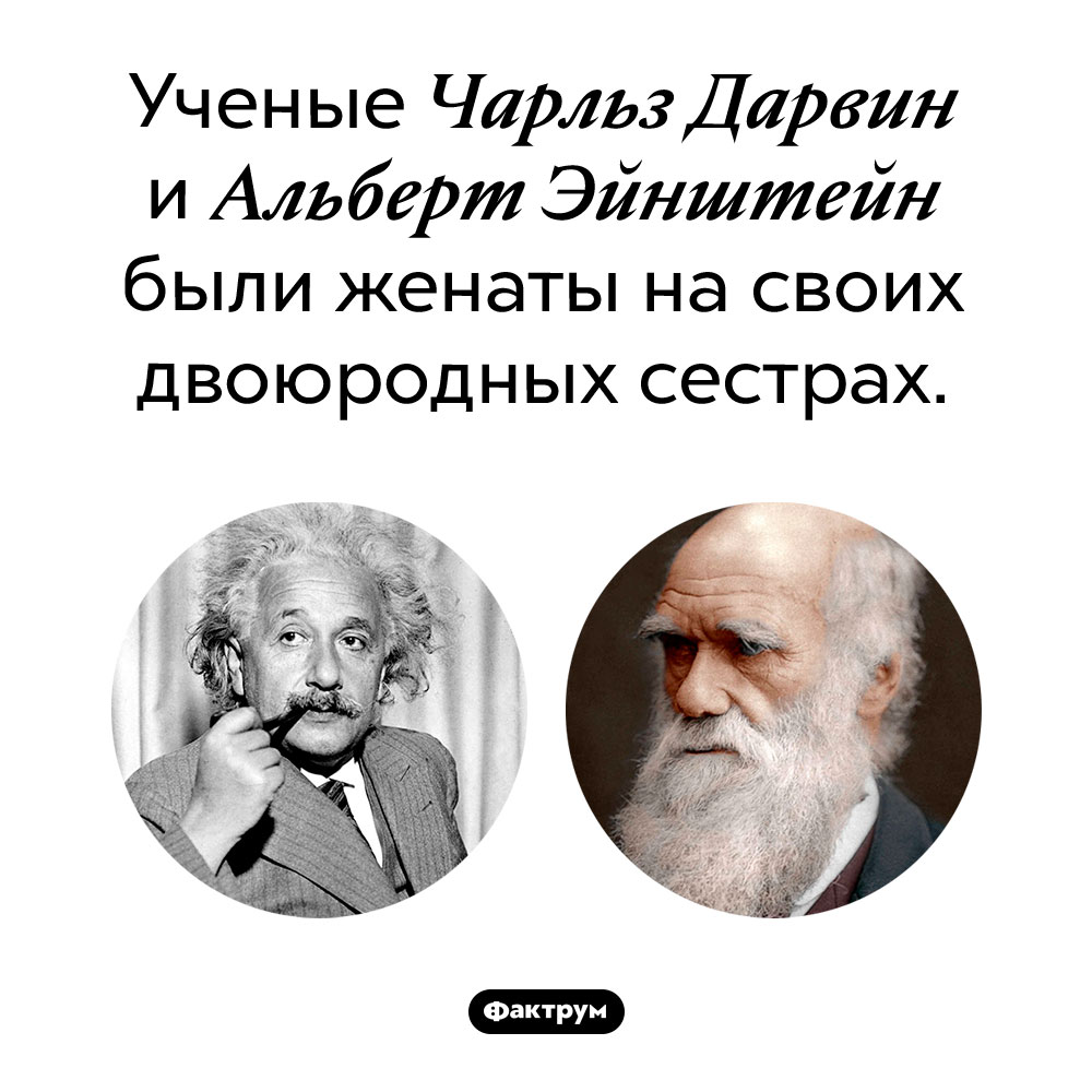 Кровосмесительные браки великих учёных. Ученые Чарльз Дарвин и Альберт Эйнштейн были женаты на своих двоюродных сестрах. 