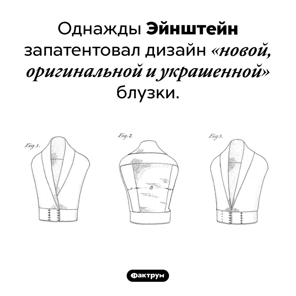 Блузка от Эйнштейна. Однажды Эйнштейн запатентовал дизайн «новой, оригинальной и украшенной» блузки.