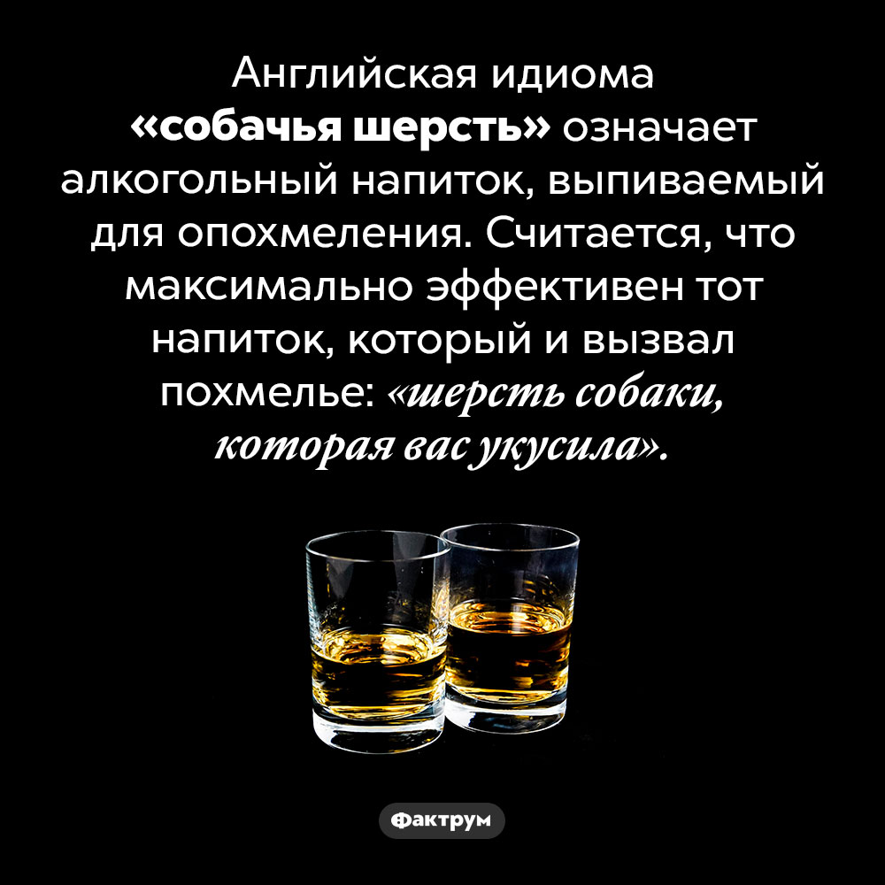 «Шерсть собаки, которая вас укусила». Английская идиома «собачья шерсть» означает алкогольный напиток, выпиваемый для опохмеления. Считается, что максимально эффективен тот напиток, который и вызвал похмелье: «шерсть собаки, которая вас укусила».