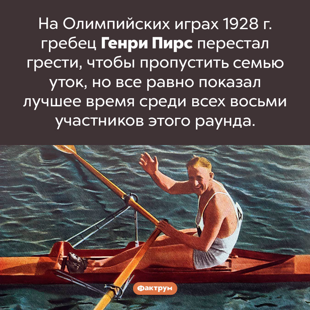 Генри Пирс и утки. На Олимпийских играх 1928 г. гребец Генри Пирс перестал грести, чтобы пропустить семью уток, но все равно показал лучшее время среди всех восьми участников этого раунда. 