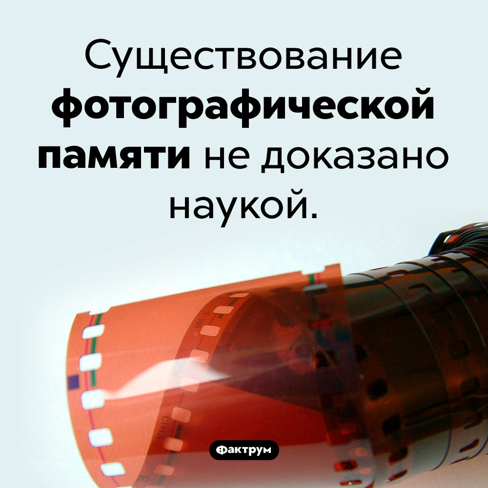 Фотографической памяти, вероятно, не существует. Существование фотографической памяти не доказано наукой.