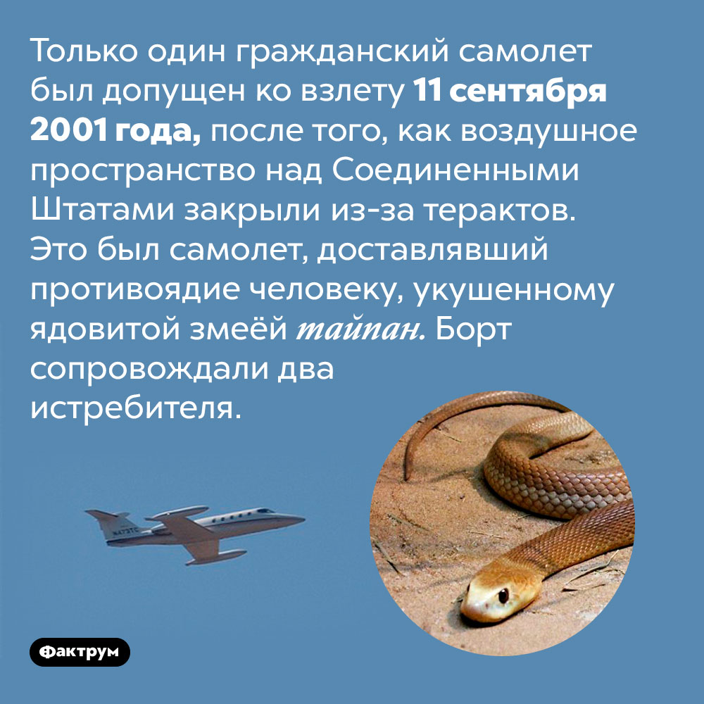 Зеленый свет. Только один гражданский самолет был допущен ко взлету 11 сентября 2001 года, после того, как воздушное пространство над Соединенными Штатами закрыли из-за терактов. Это был самолет, доставлявший противоядие человеку, укушенному ядовитой змеёй тайпан. Борт сопровождали два истребителя.
