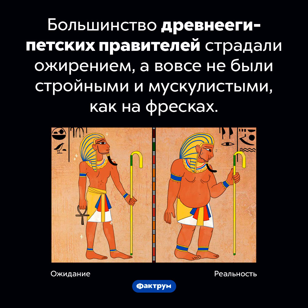 Фараоны были толстыми. Большинство древнеегипетских правителей страдали ожирением, а вовсе не были стройными и мускулистыми, как на фресках.