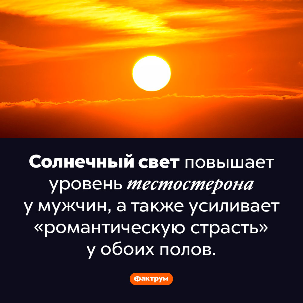 Солнечный свет усиливает страсть. Солнечный свет повышает уровень тестостерона у мужчин, а также усиливает «романтическую страсть» у обоих полов.