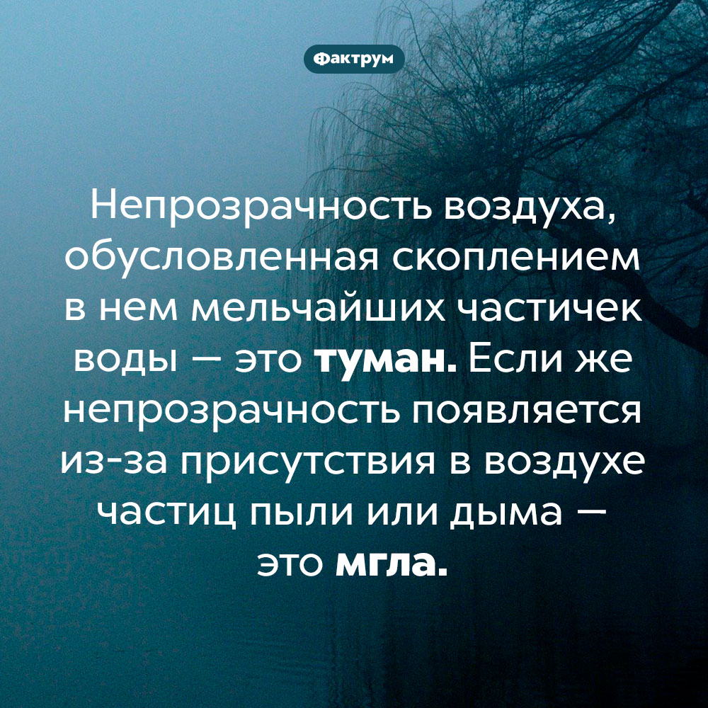 Чем туман отличается от мглы. Непрозрачность воздуха, обусловленная скоплением в нем мельчайших частичек воды — это туман. Если же непрозрачность появляется из-за присутствия в воздухе частиц пыли или дыма — это мгла.