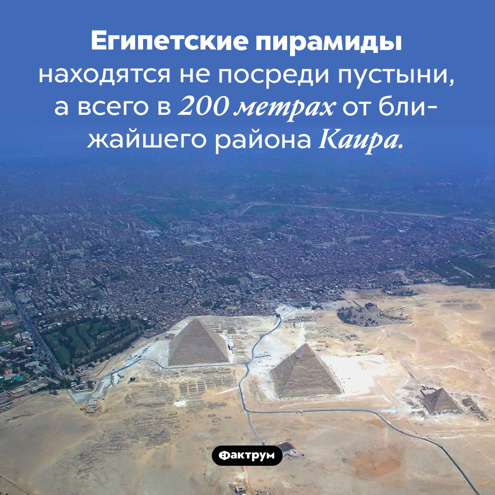 Далеко ли от городов расположены египетские пирамиды. Египетские пирамиды находятся не посреди пустыни, а всего в 200 метрах от ближайшего района Каира.
