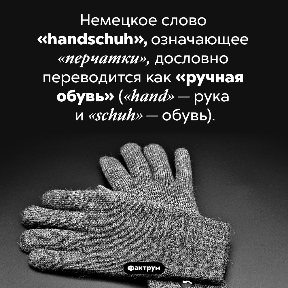 Ручная обувь. Немецкое слово <em>«handschuh»,</em> означающее «перчатки», дословно переводится как «ручная обувь» (<em>«hand» —</em> рука и <em>«schuh» —</em> обувь).