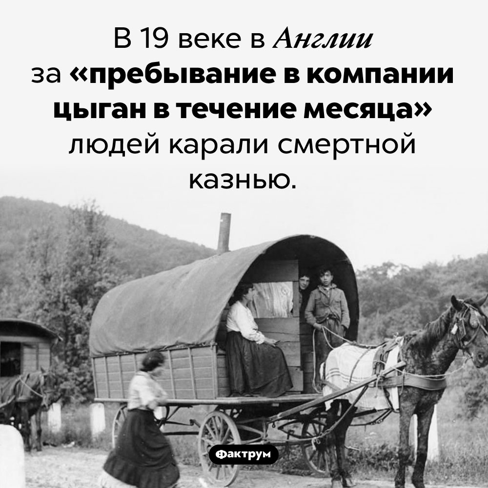 Чем англичанам грозило «пребывание в компании цыган в течение месяца». В 19 веке в Англии за «пребывание в компании цыган в течение месяца» людей карали смертной казнью.