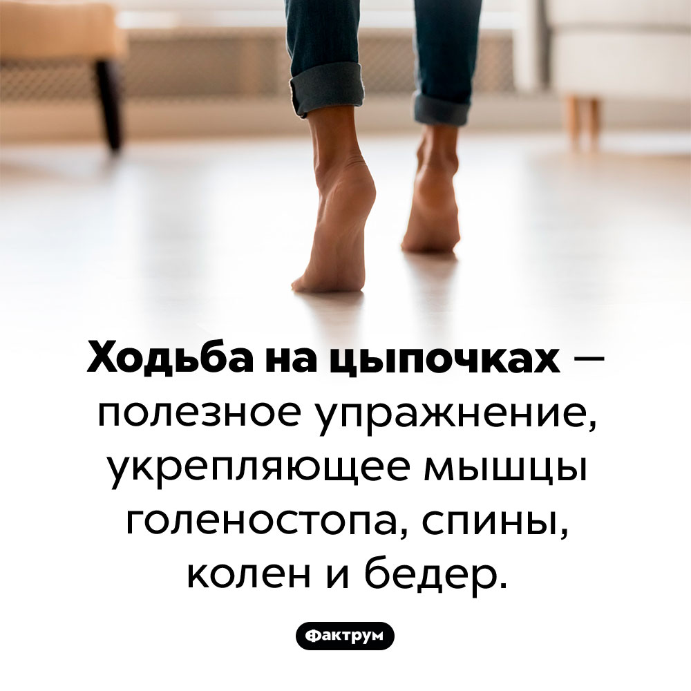 Чем полезна ходьба на цыпочках. Ходьба на цыпочках — полезное упражнение, укрепляющее мышцы голеностопа, спины, колен и бедер.