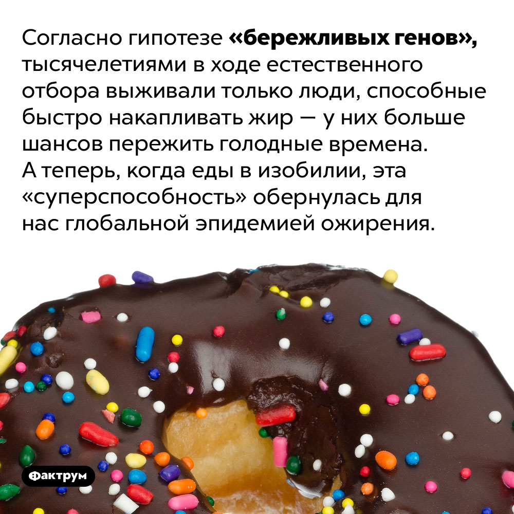 Почему мы страдаем ожирением. Согласно гипотезе «бережливых генов», тысячелетиями в ходе естественного отбора выживали только люди, способные быстро накапливать жир — у них больше шансов пережить голодные времена. А теперь, когда еды в изобилии, эта «суперспособность» обернулась для нас глобальной эпидемией ожирения.