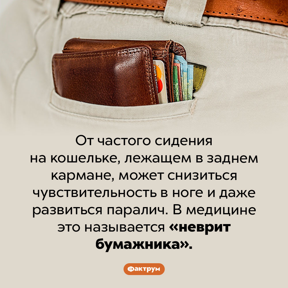 Неврит бумажника. От частого сидения на кошельке, лежащем в заднем кармане, может снизиться чувствительность в ноге и даже развиться паралич. В медицине это называется «неврит бумажника».