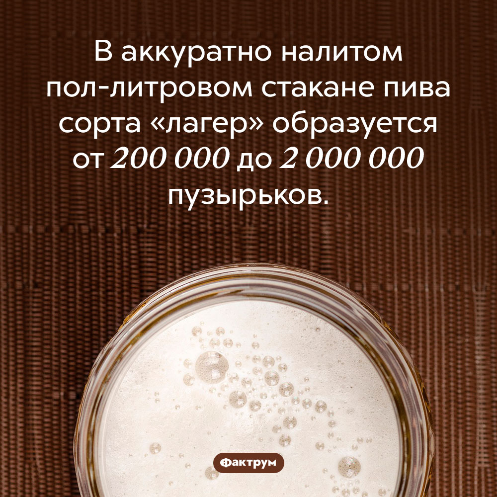 Сколько пузырьков в стакане светлого пива. В аккуратно налитом пол-литровом стакане пива сорта «лагер» образуется от 200 000 до 2 000 000 пузырьков.