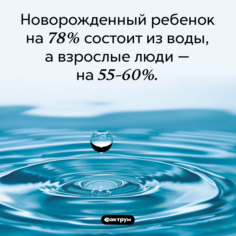 На сколько процентов человек состоит из воды. Новорожденный ребенок на 78% состоит из воды, а взрослые люди — на 55-60%.